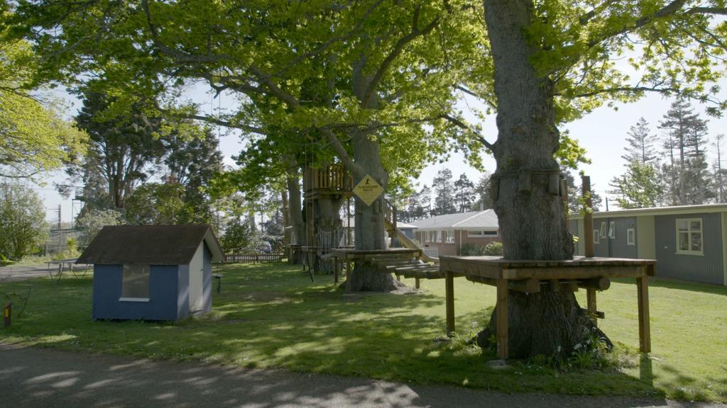 Te Aroha Holiday Park And Motels Εξωτερικό φωτογραφία