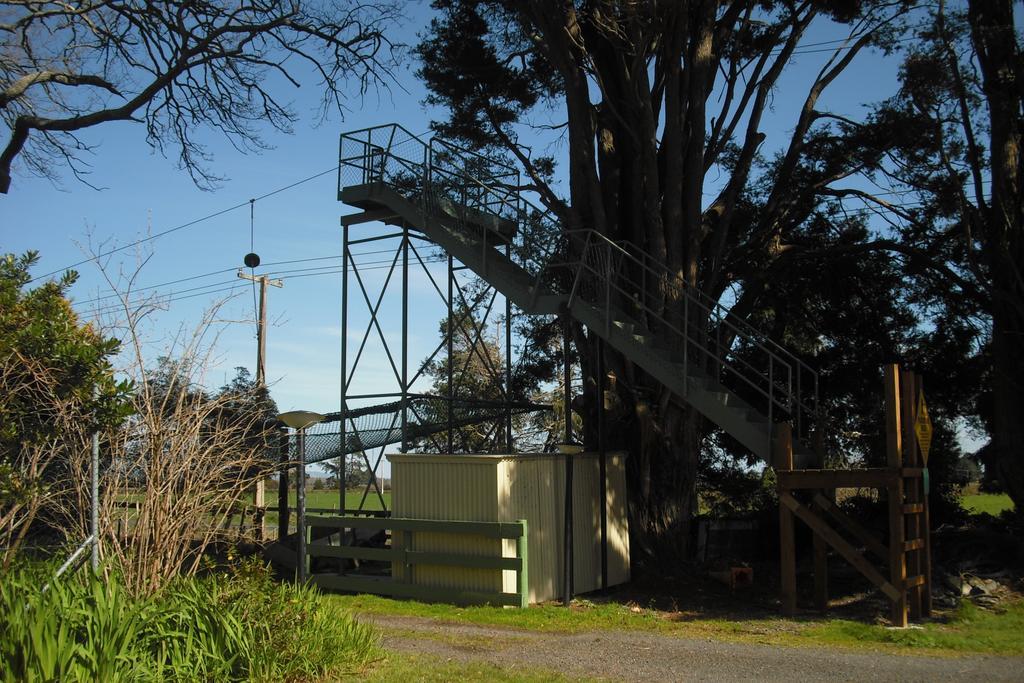 Te Aroha Holiday Park And Motels Εξωτερικό φωτογραφία